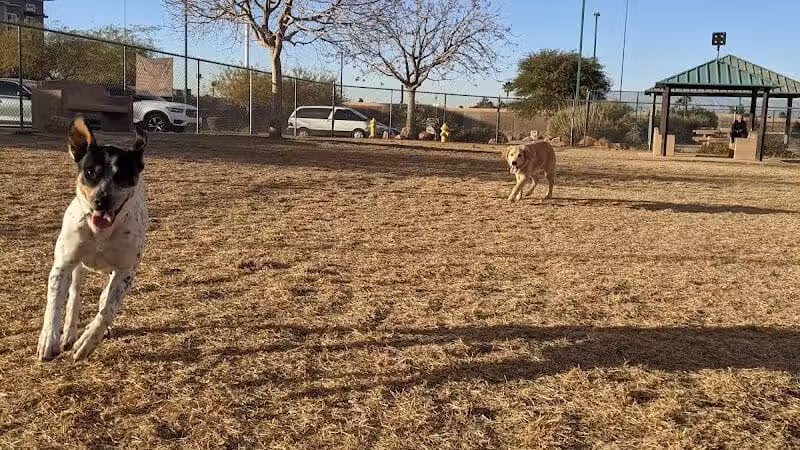 Nicolai's Para Dog park - Henderson, NV