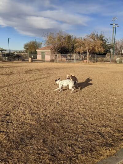 Nicolai's Para Dog park - Henderson, NV