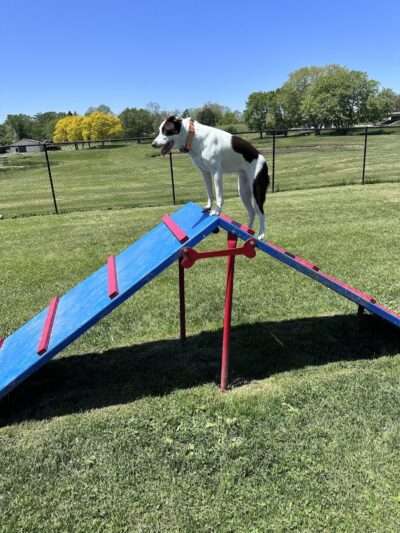 Lookup Park - Henrietta, NY