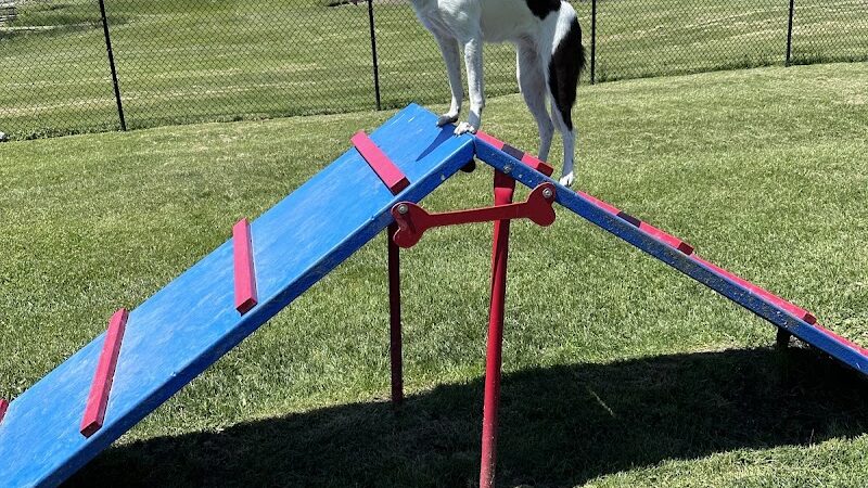 Lookup Park - Henrietta, NY