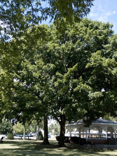 Central Park - Henry, IL