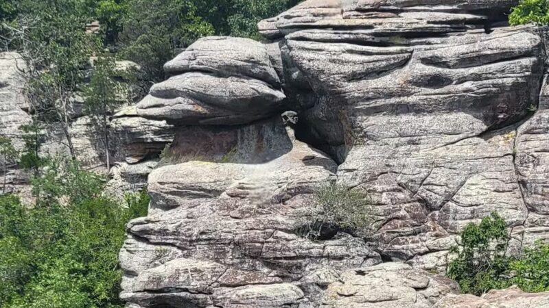 Garden of the Gods - Herod, IL