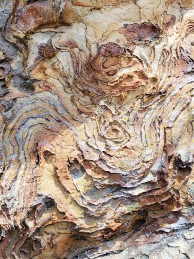 Garden of the Gods - Herod, IL