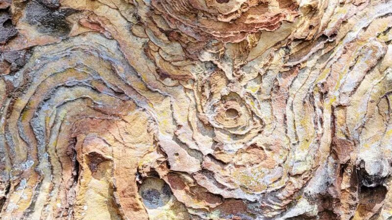 Garden of the Gods - Herod, IL