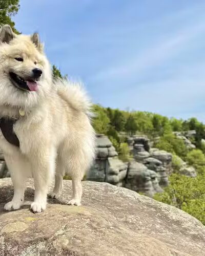 Garden of the Gods - Herod, IL