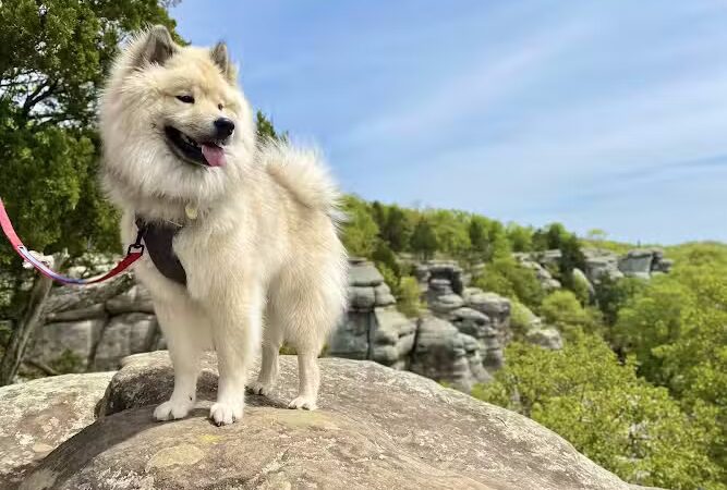 Garden of the Gods - Herod, IL