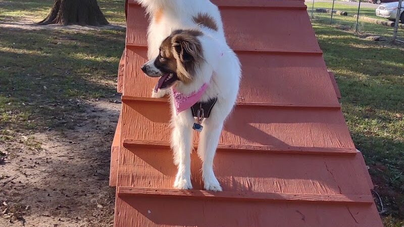 Herrin Dog Park - Herrin, IL