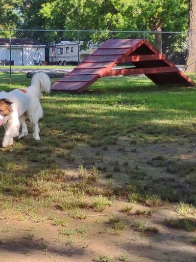 Herrin Dog Park - Herrin, IL