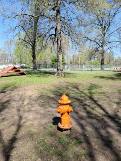 Herrin Dog Park - Herrin, IL