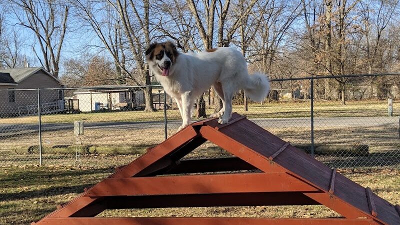 Herrin Dog Park - Herrin, IL