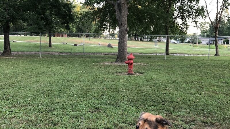 Herrin Dog Park - Herrin, IL