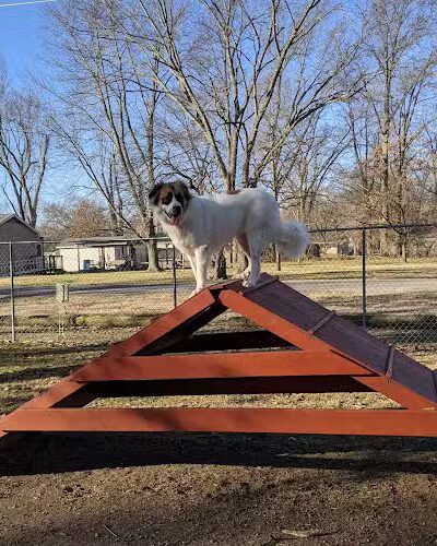 Herrin Dog Park - Herrin, IL