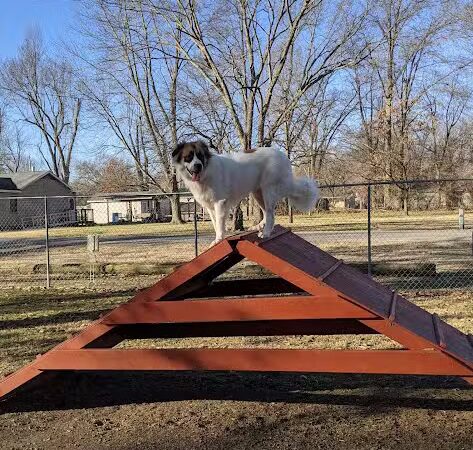 Herrin Dog Park - Herrin, IL