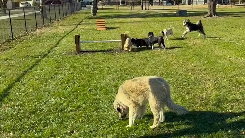 Hickory Dog Park & Playground - Hesston, KS