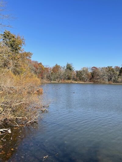 Grant Park - Hewlett, NY