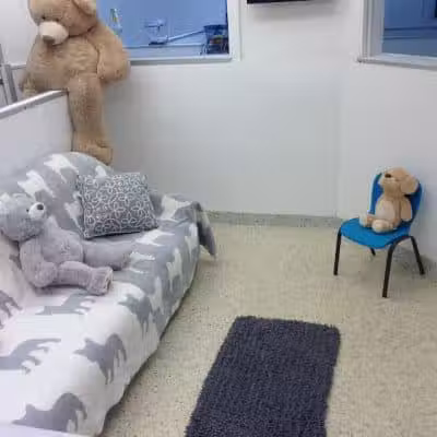 Hewlett Animal Hospital & Pet Resort - Hewlett, NY