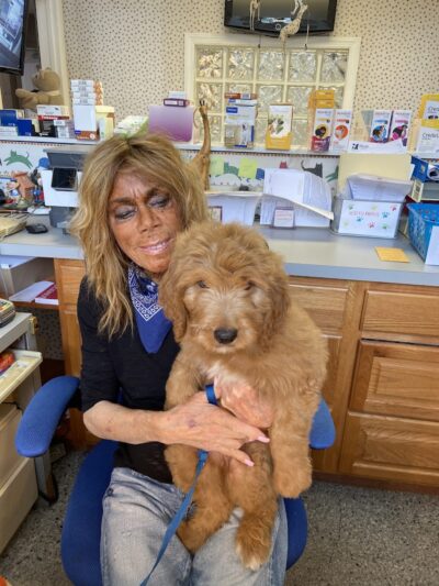 Hewlett Animal Hospital & Pet Resort - Hewlett, NY