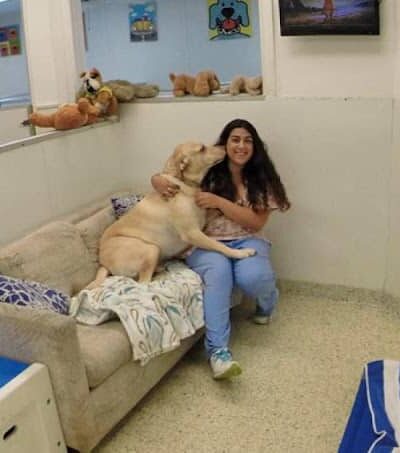 Hewlett Animal Hospital & Pet Resort - Hewlett, NY