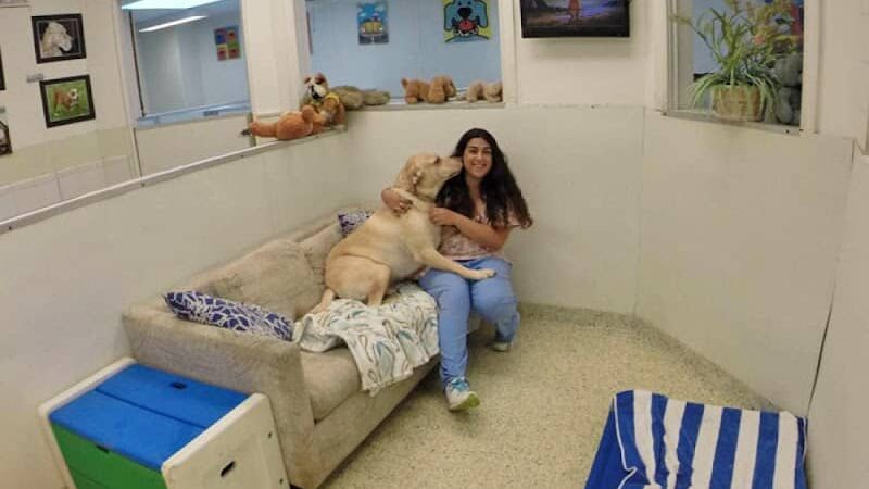 Hewlett Animal Hospital & Pet Resort - Hewlett, NY