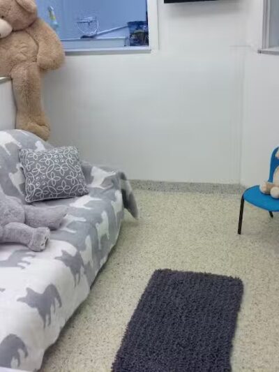 Hewlett Animal Hospital & Pet Resort - Hewlett, NY