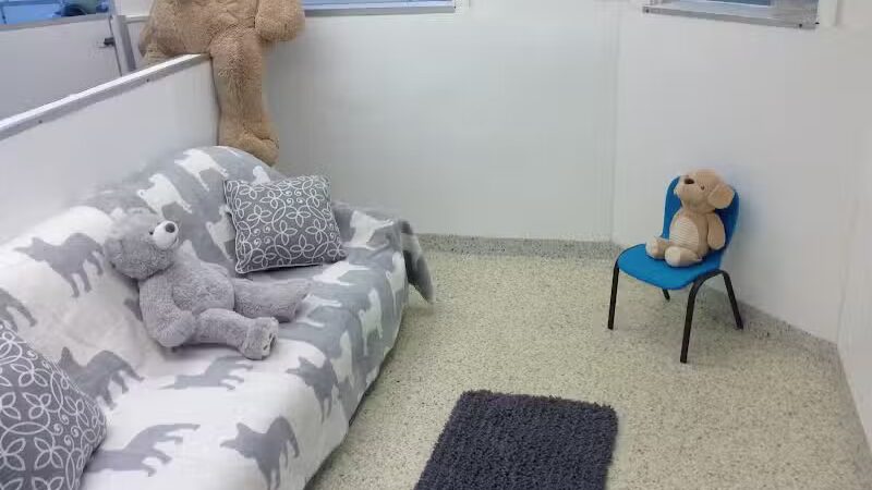 Hewlett Animal Hospital & Pet Resort - Hewlett, NY