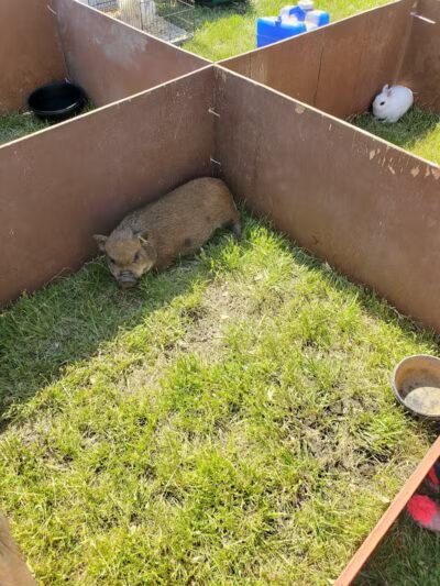 Noble Ball Park - Hiawatha, KS