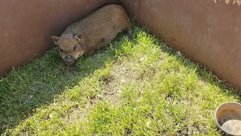 Noble Ball Park - Hiawatha, KS