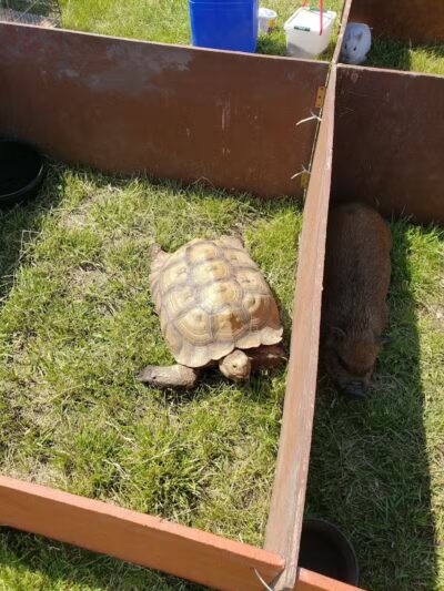 Noble Ball Park - Hiawatha, KS