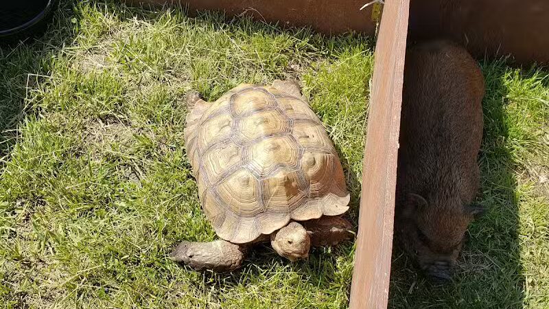 Noble Ball Park - Hiawatha, KS