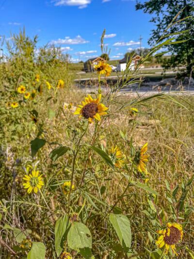 Oregon Trail Glamping and RV Park Hiawatha, KS - Hiawatha, KS