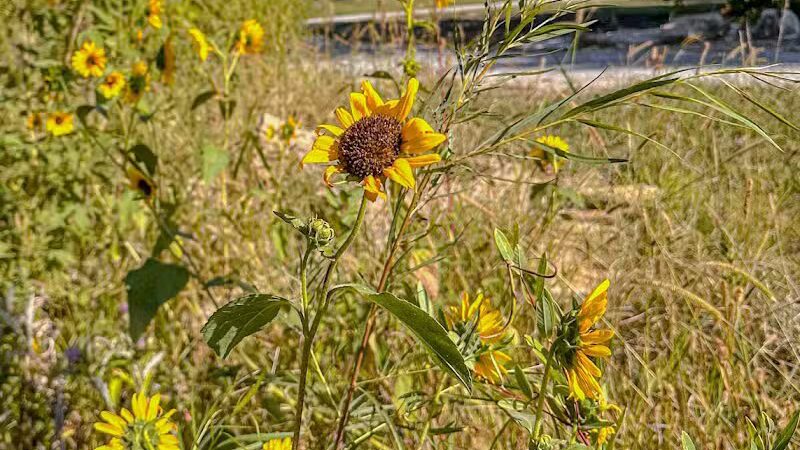 Oregon Trail Glamping and RV Park Hiawatha, KS - Hiawatha, KS