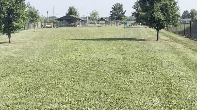 Highland Jaycees Dog Park - Highland, IL