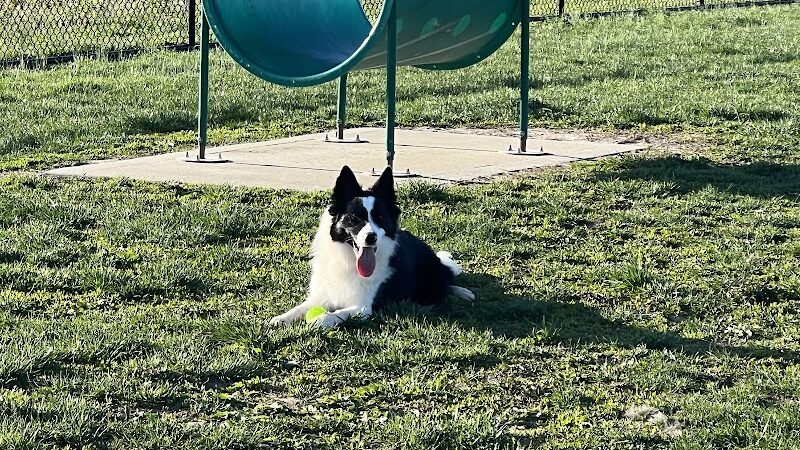 Highland Jaycees Dog Park - Highland, IL