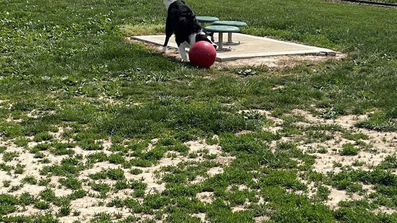 Highland Jaycees Dog Park - Highland, IL