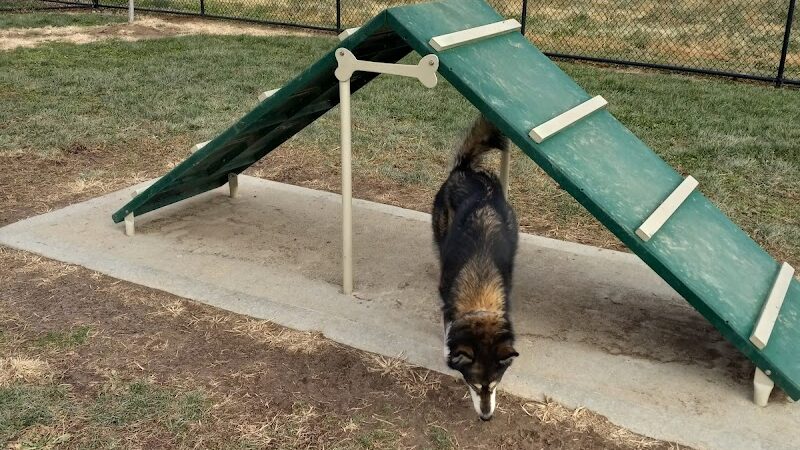 Highland Jaycees Dog Park - Highland, IL