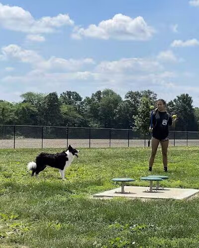 Highland Jaycees Dog Park - Highland, IL