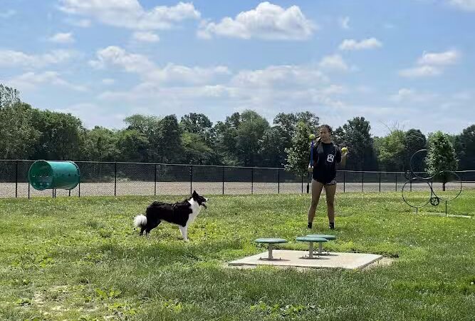 Highland Jaycees Dog Park - Highland, IL