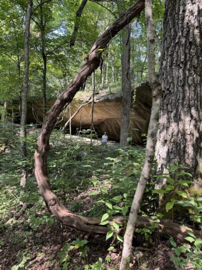 Kress Farm Garden Preserve - Hillsboro, MO