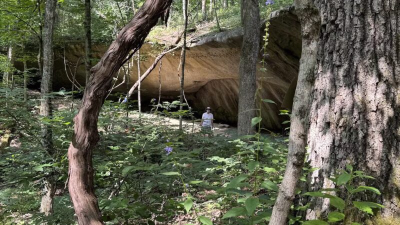 Kress Farm Garden Preserve - Hillsboro, MO