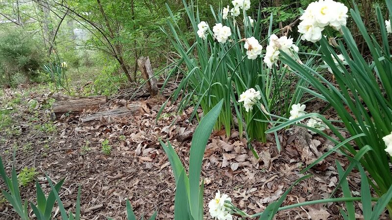 Bagpipe Paradise and DEI Sanctuary - Hillsboro, MO
