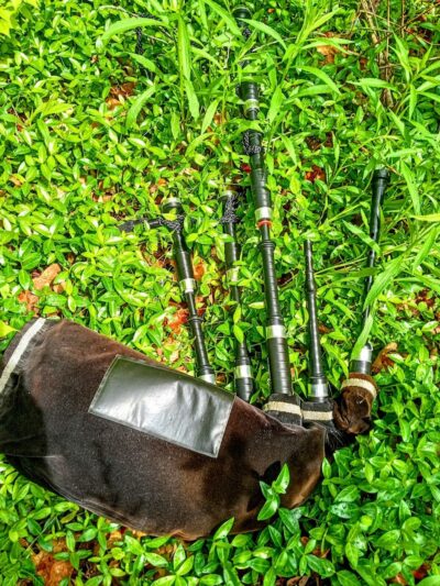 Bagpipe Paradise and DEI Sanctuary - Hillsboro, MO