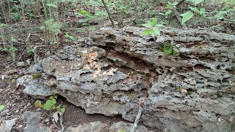 Bagpipe Paradise and DEI Sanctuary - Hillsboro, MO