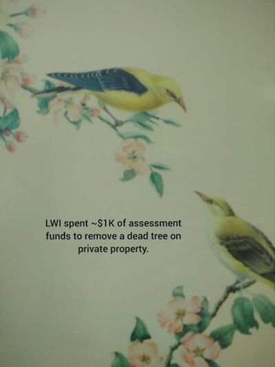 Bagpipe Paradise and DEI Sanctuary - Hillsboro, MO