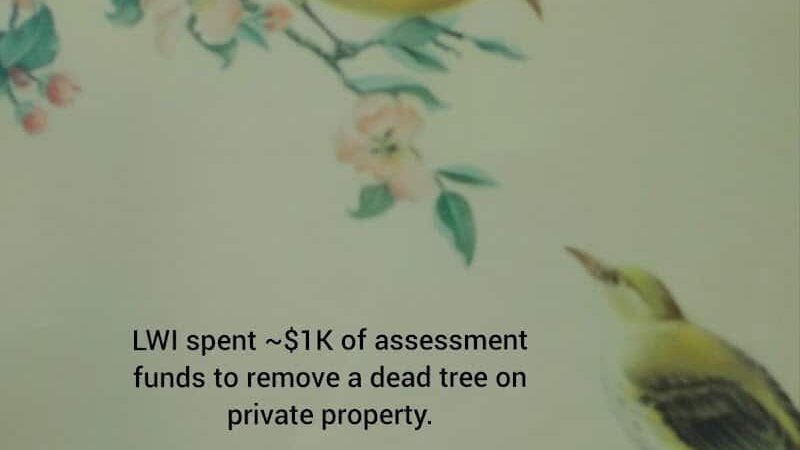 Bagpipe Paradise and DEI Sanctuary - Hillsboro, MO