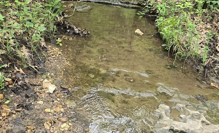 Hillsboro City Park - Hillsboro, MO