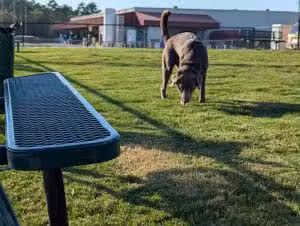 Dog Park at Love's Travel Stops - Hillsboro, TN