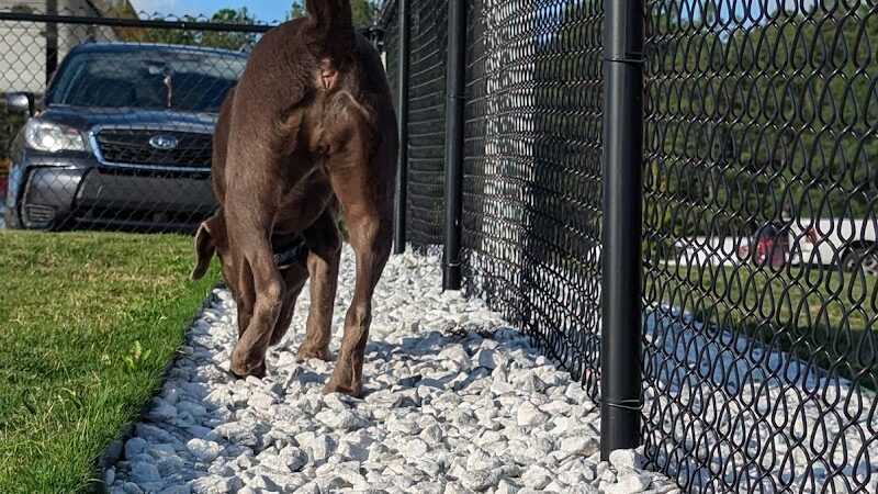 Dog Park at Love's Travel Stops - Hillsboro, TN