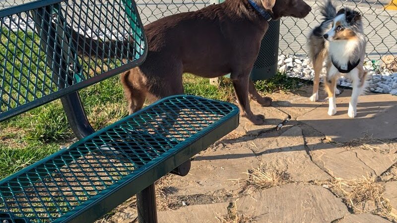 Dog Park at Love's Travel Stops - Hillsboro, TN