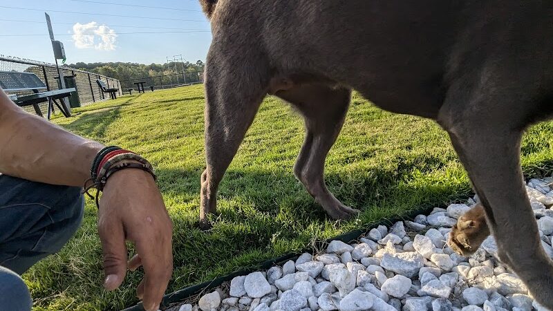 Dog Park at Love's Travel Stops - Hillsboro, TN