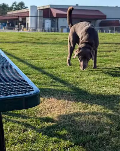 Dog Park at Love's Travel Stops - Hillsboro, TN